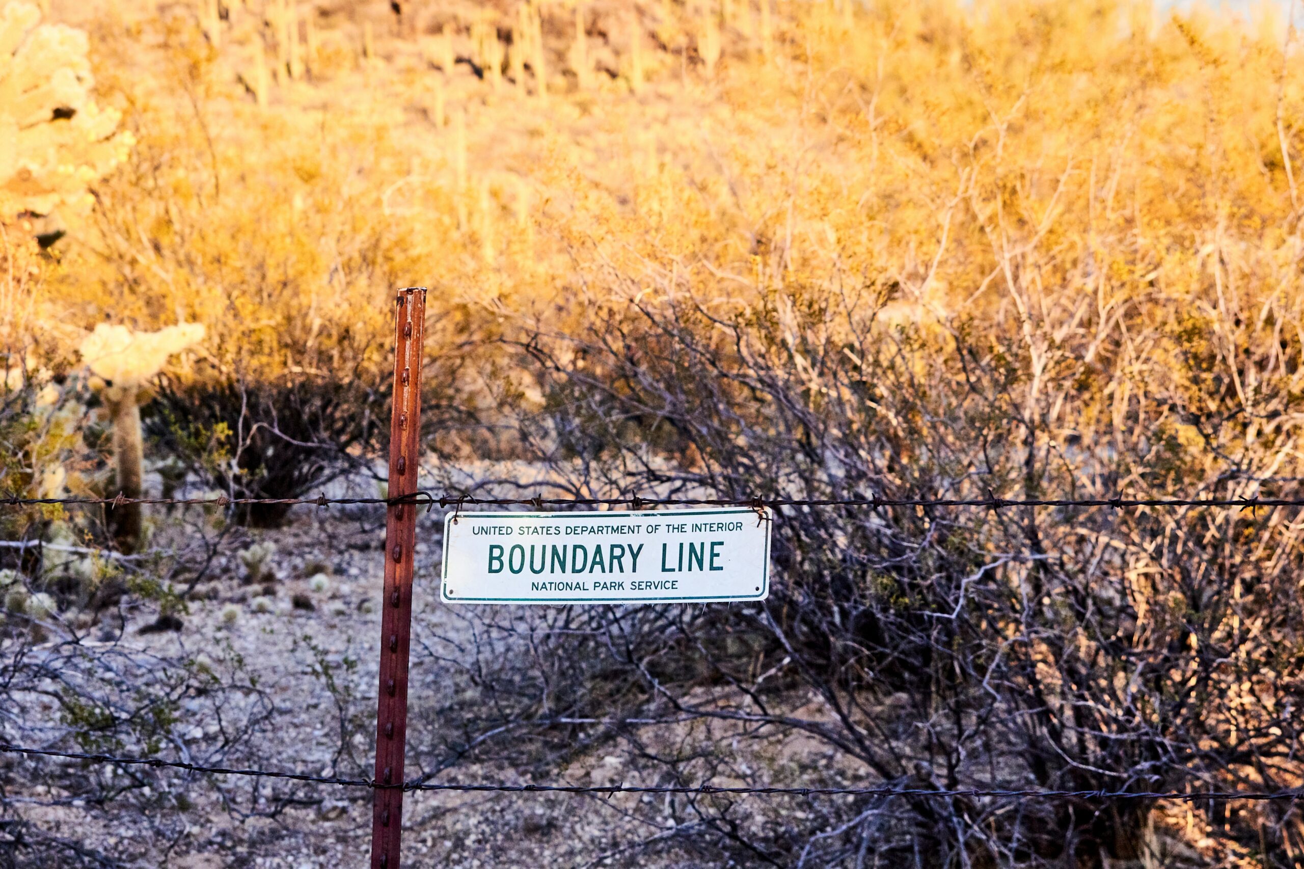 Bondary line